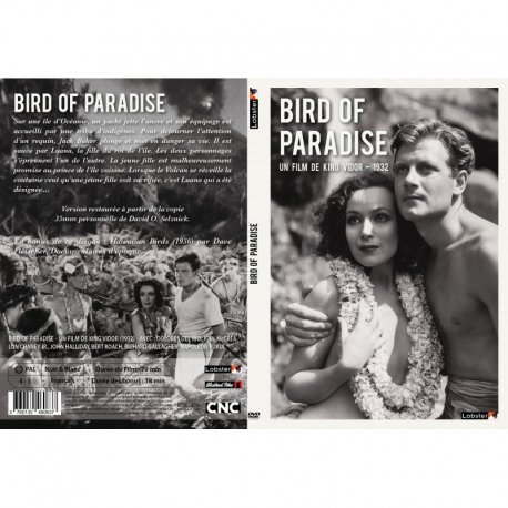 Bird of paradise